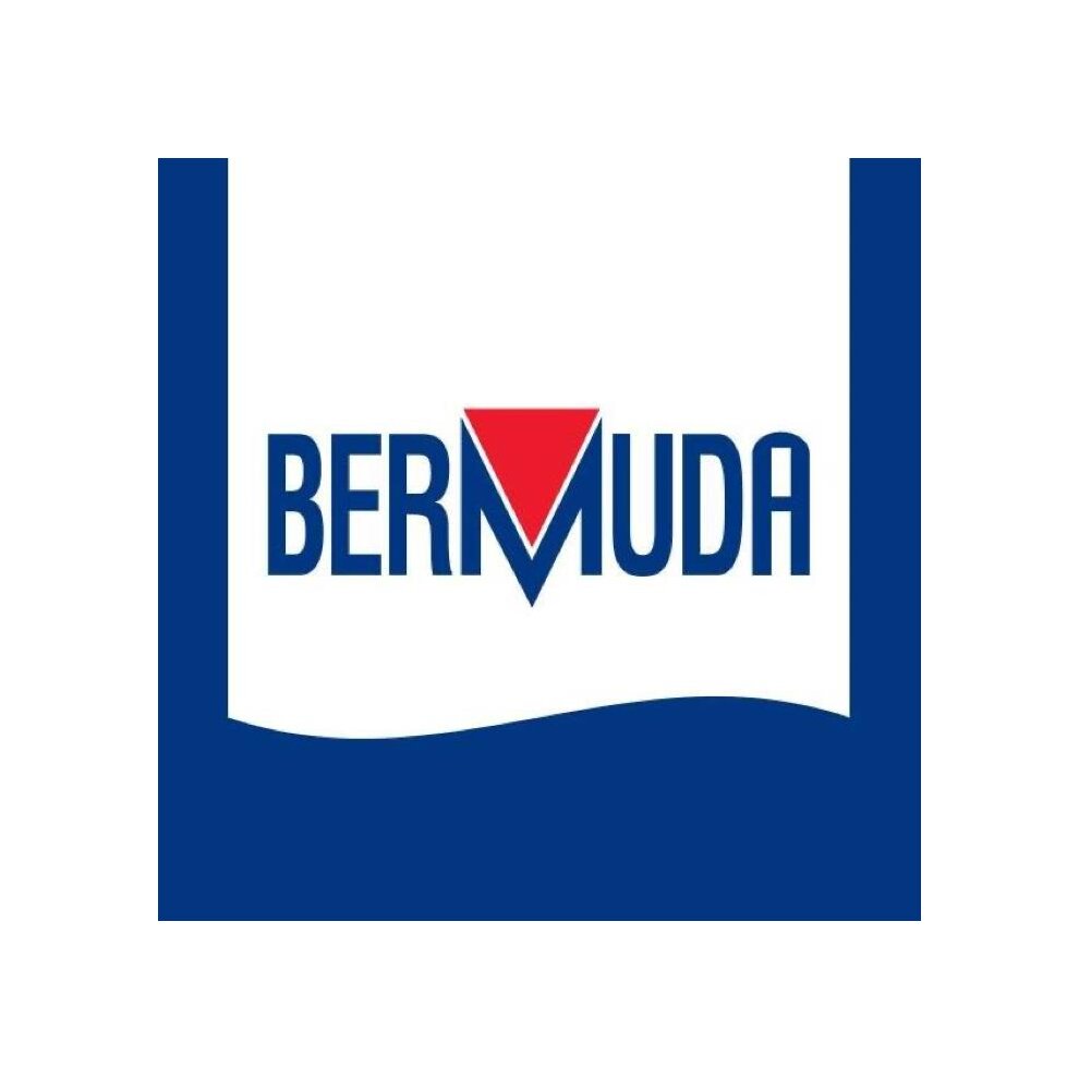 Bermuda 2000 Water Feature Pump 2000 LPH