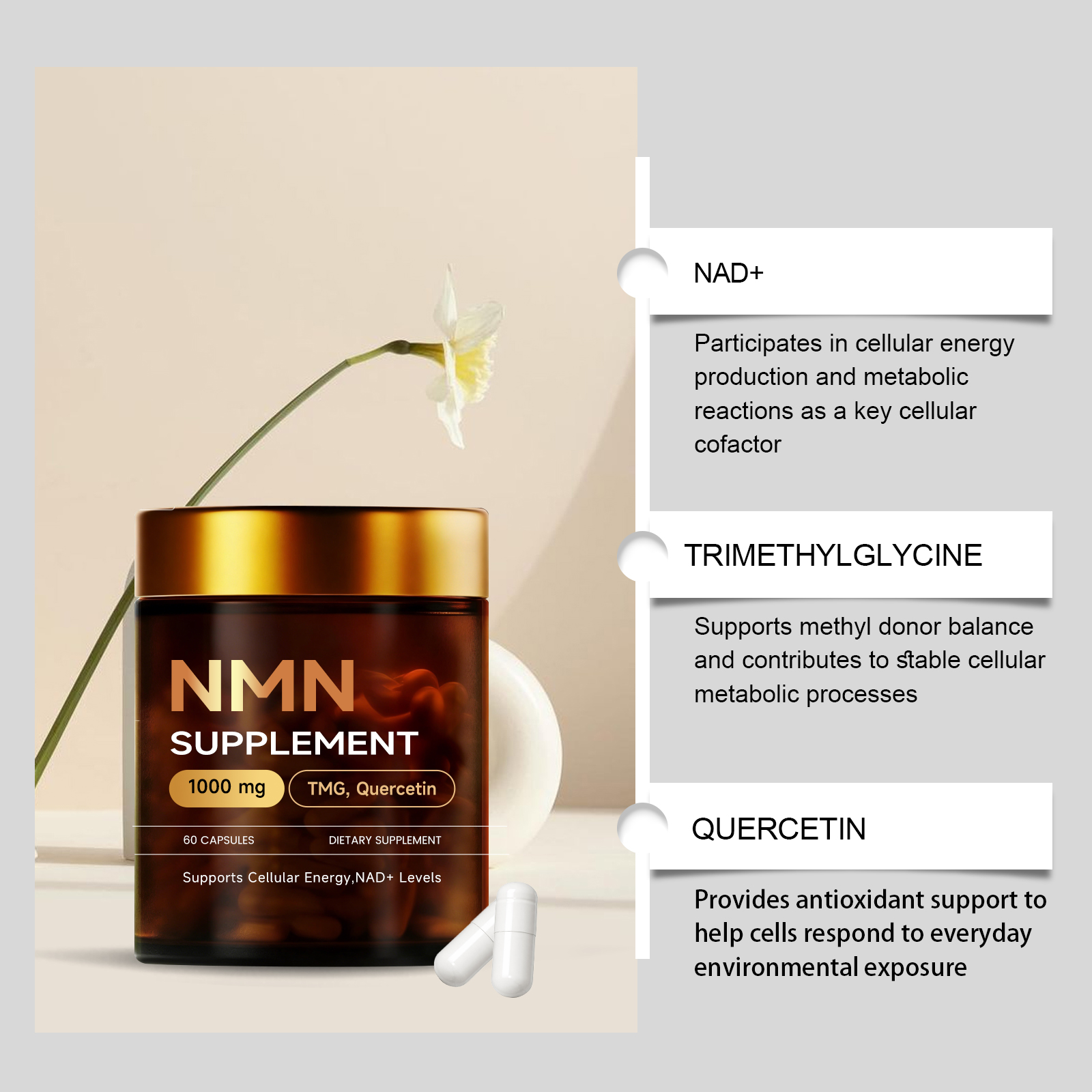Body Supplement Capsules Mild Boost Physical Vitality Nurture Discomfort Daily Health Nutrient Supply For Human Body Care General Wellness Maintenance