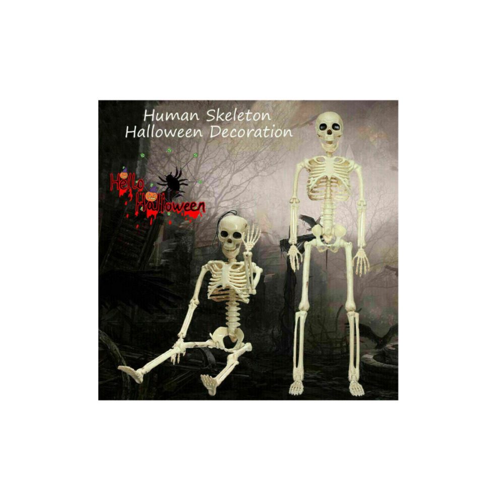Human Skeleton Prop Halloween Party Decoration
