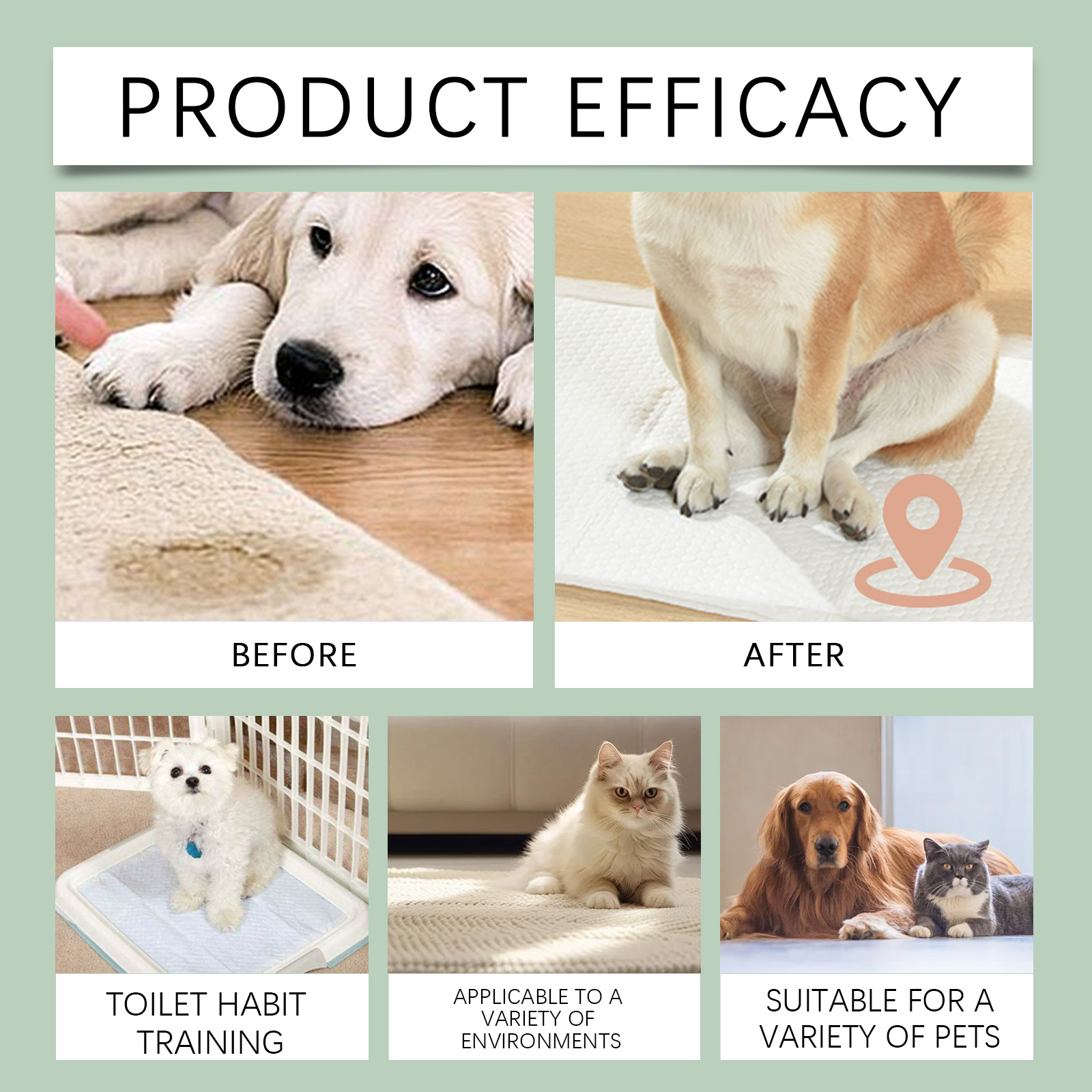 Pet Toilet Training Spray Correct Urination Defecation For Dogs And Cats Indoor Household Use