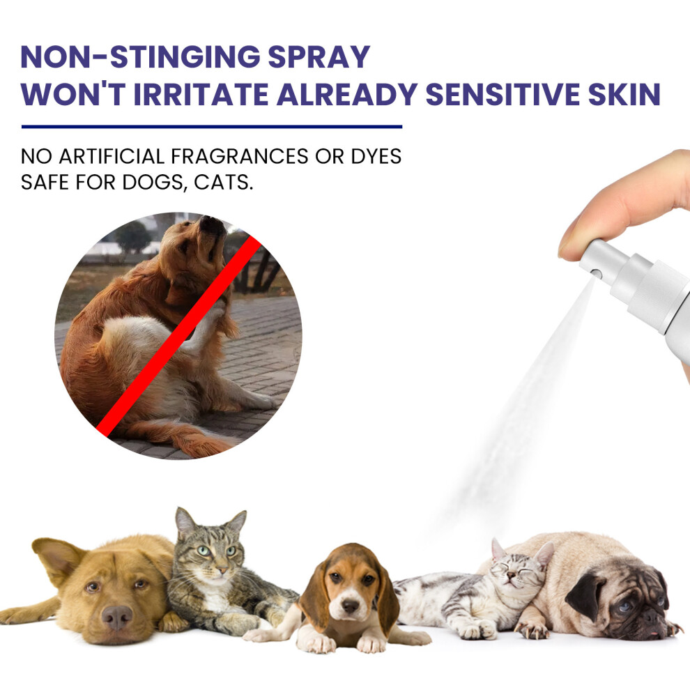 Pet Fungi Mite Remover Ointment Soothes Itchy Irritated Skin for Dogs and Cats