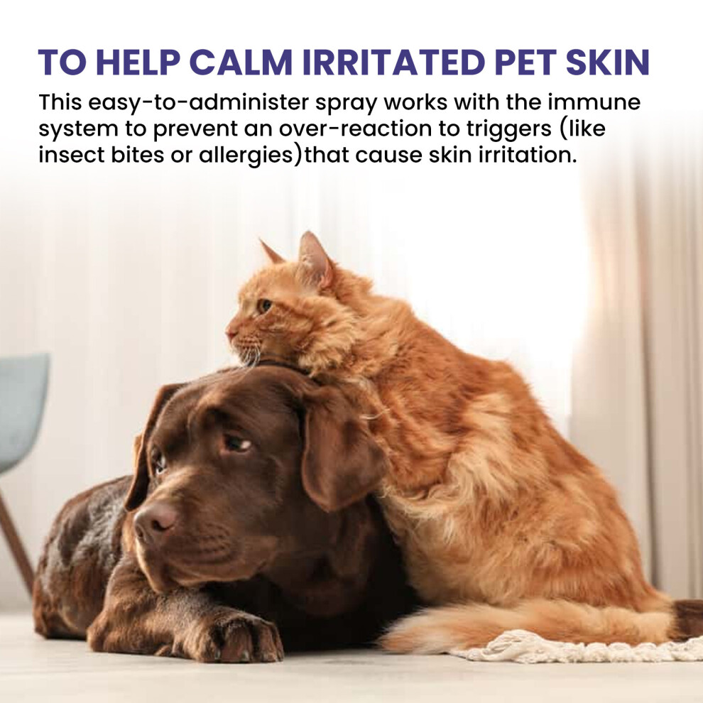 Pet Fungi Mite Remover Ointment Soothes Itchy Irritated Skin for Dogs and Cats