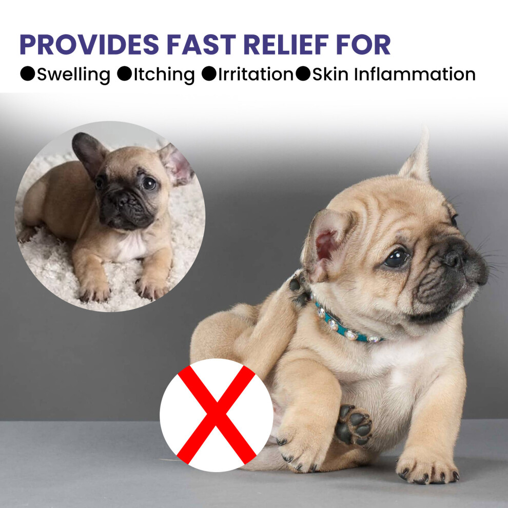 Pet Fungi Mite Remover Ointment Soothes Itchy Irritated Skin for Dogs and Cats