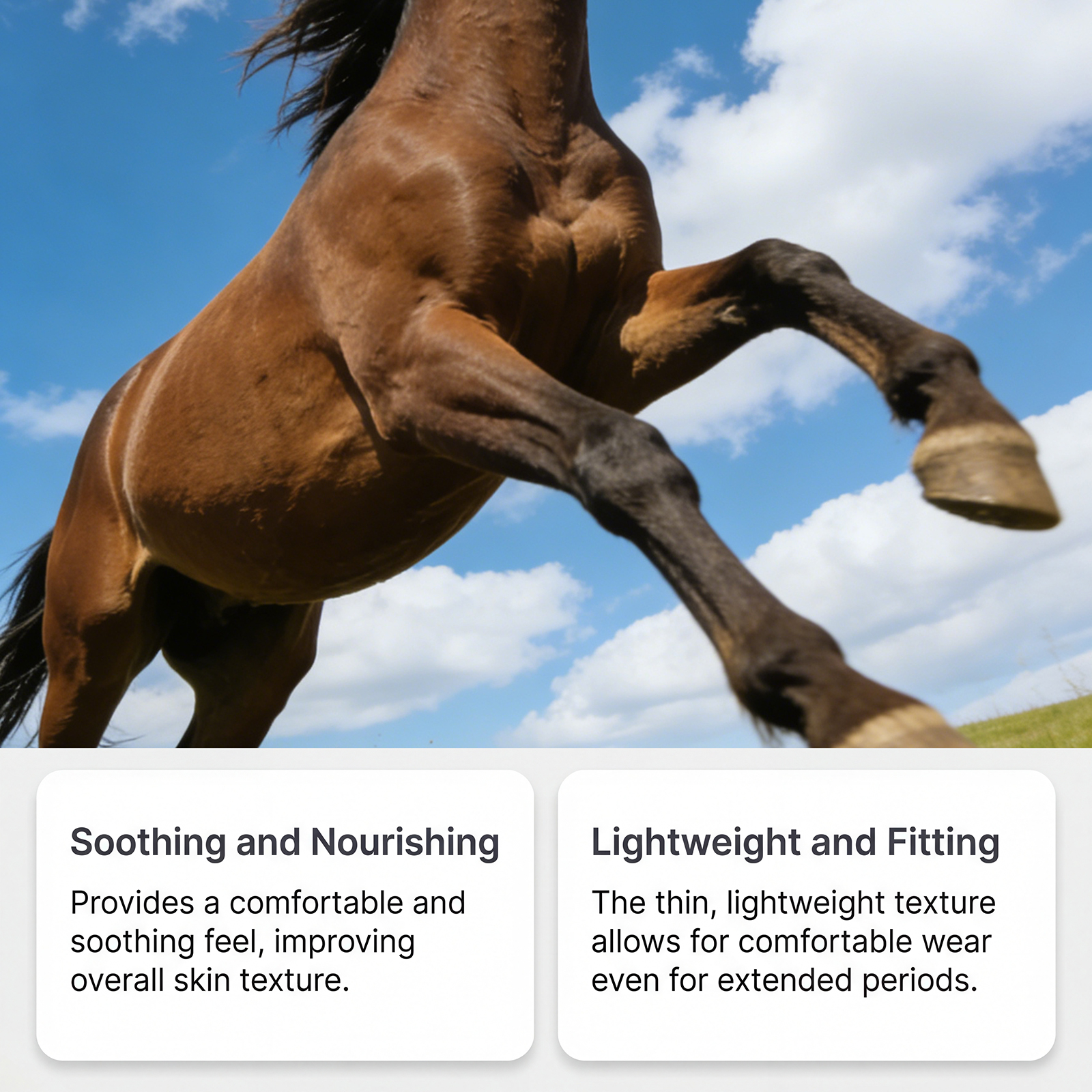 Horse Care Gel Mild Formula Moisturizing Comfortable Skin Repair For Horses After Training Stable Application