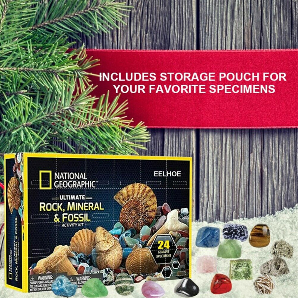 Advent Calendar Stone Rocks Mineral Fossil Kit 2022 Christmas 24 Days Countdown Calendar Geology Enthusiasts Collection Xmas Suprise Gift Box Treasure Ore Guessing Fun Toy Early Childhood Education Toys