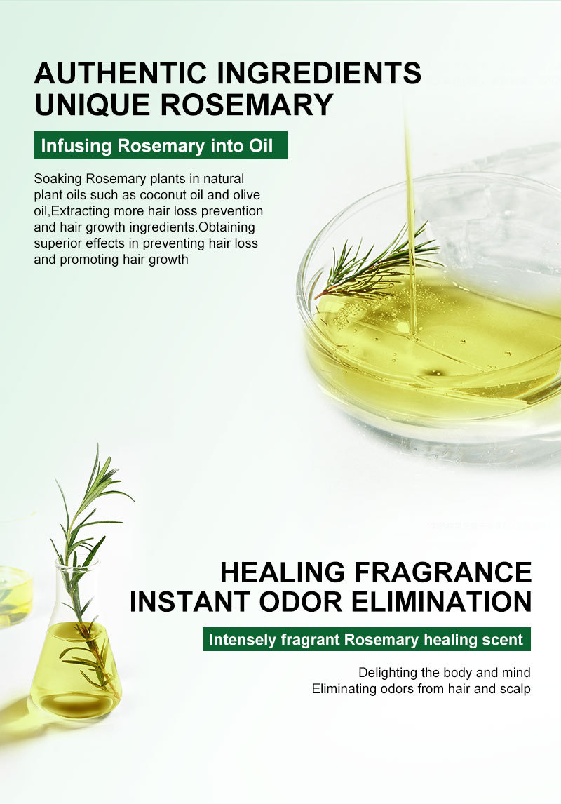 PURC Rosemary Oil Hair Growth Products for Man Women Ginger Anti Hair Loss Fast Regrowth Thicken Essential Oils Hair Serum   Scalp Treatment Hair Care