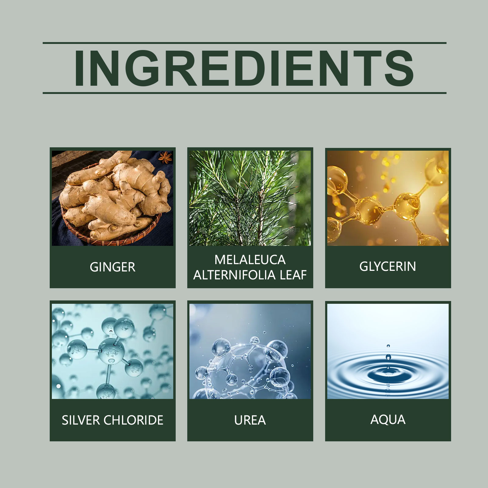 Toe Nail Care Serum Nail Fungus Treatment Repair Serum 50ml Herbal Nail Fungus Treatment Spray Tea Tree Oil & Ginger Infused