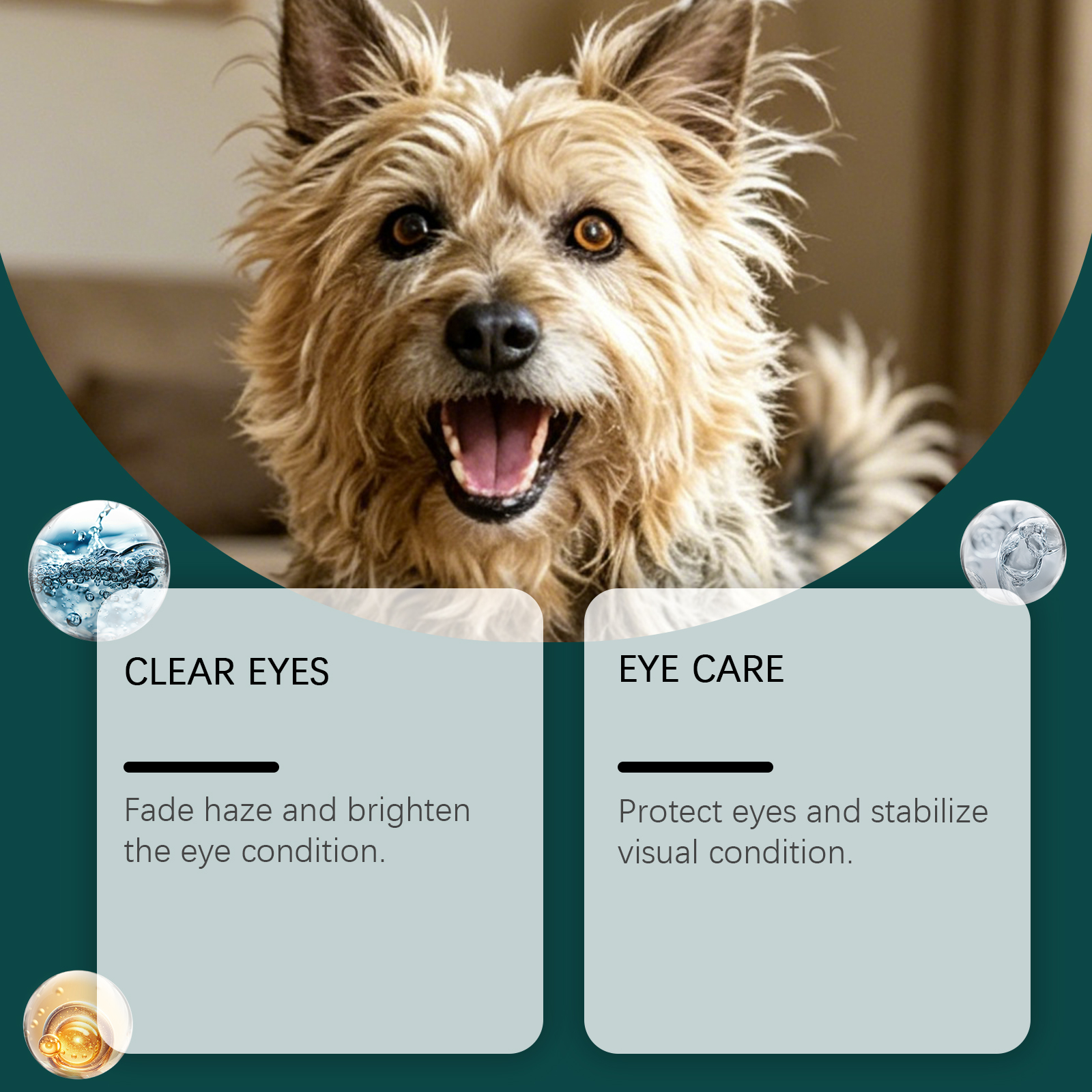 Dog Eye Care Spray Mild Formula Moist Comfort Household Pet Eye Surrounding Foreign Substance Clean