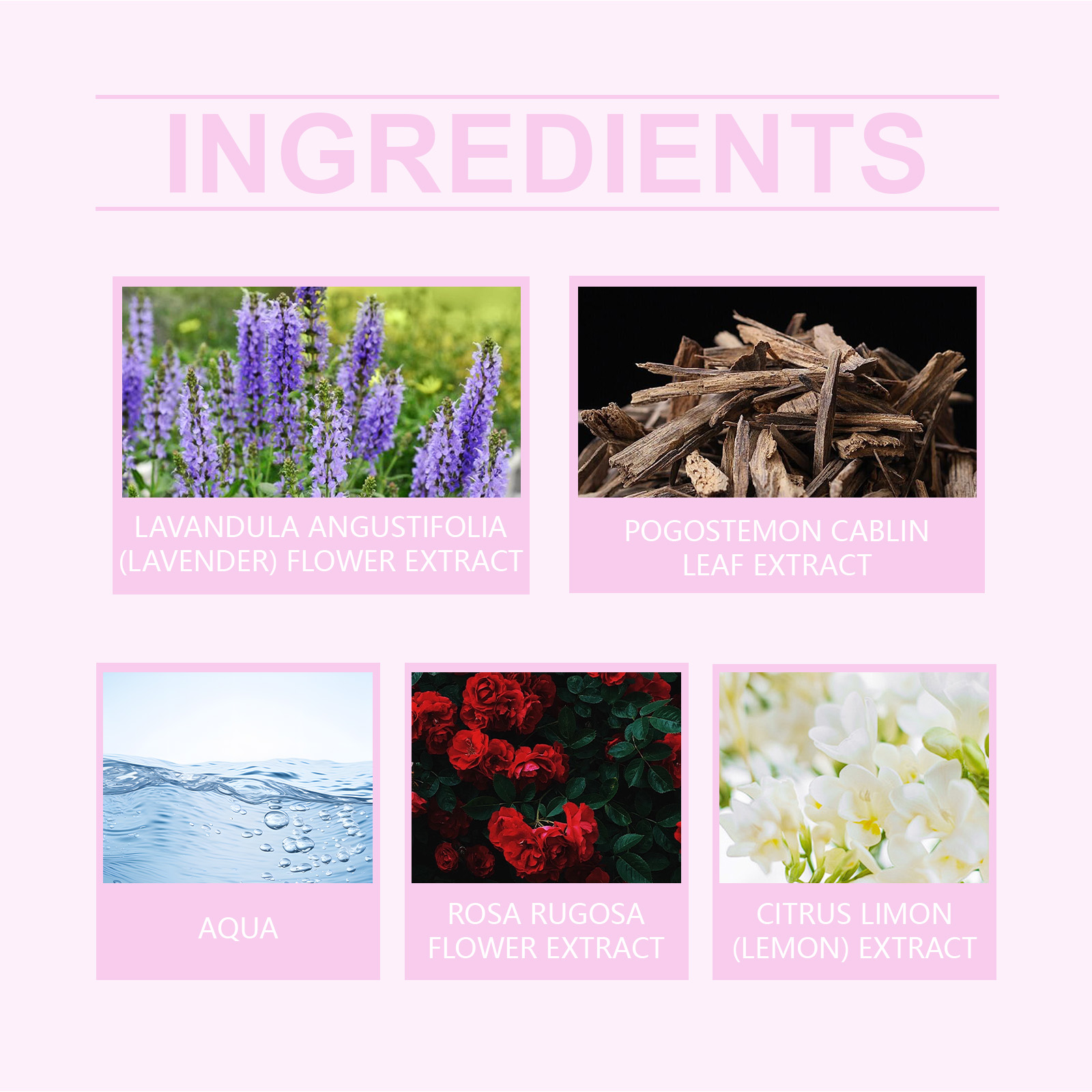 Pink Rose Charm Perfume Long Lasting Attractive Pheromone Cologne Fragrance For Daily Use