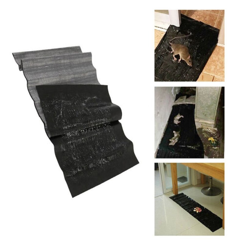 Mice Traps Mouse Rat Trap Bug Terminator Large Size Super Rat Snake Bug Trap