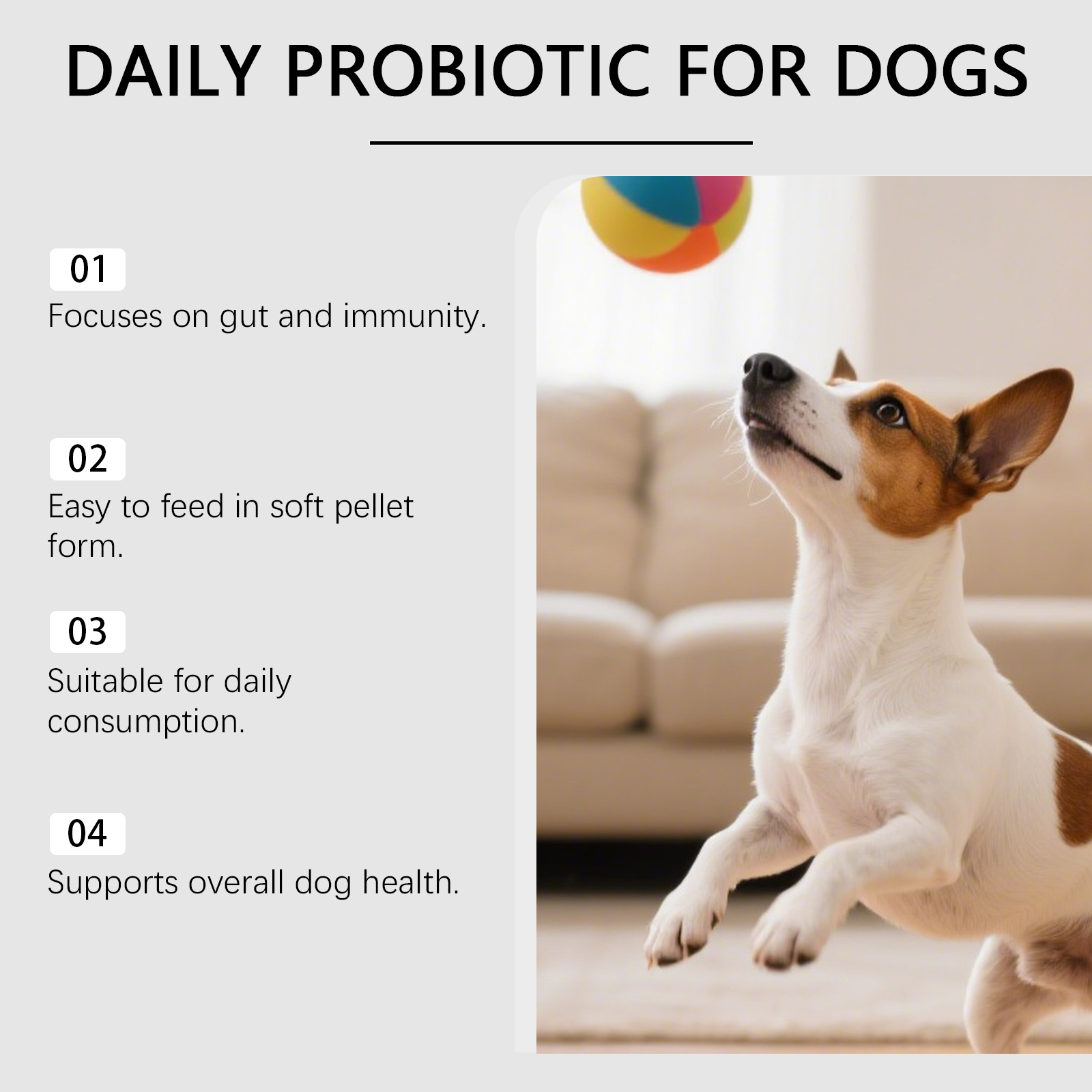 Daily Probiotic Soft Granules For Dogs Support Intestinal Balance Easy Feeding Mild Care Boost Vitality Regular Canine Gut Maintenance
