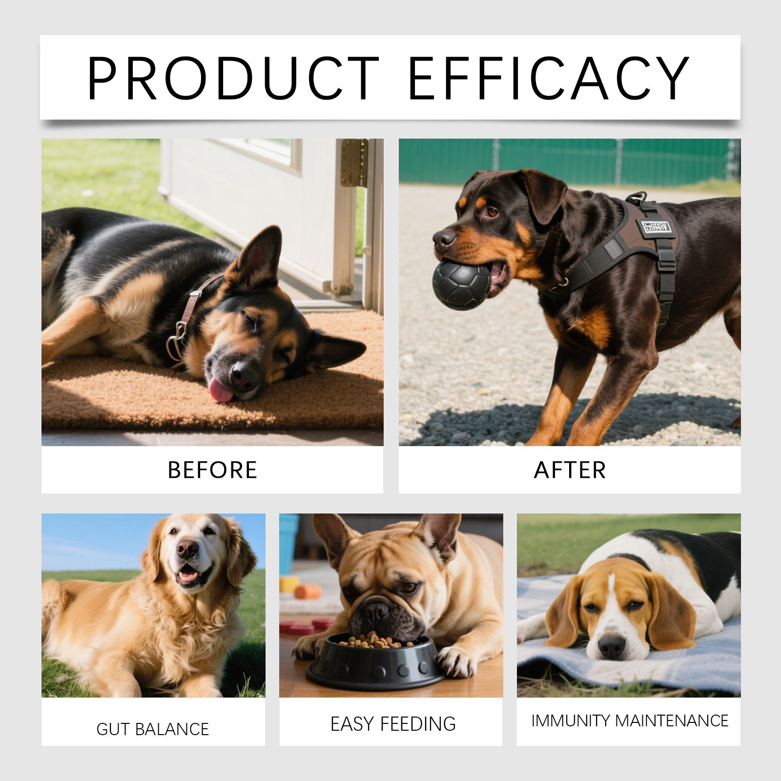 Daily Probiotic Soft Granules For Dogs Support Intestinal Balance Easy Feeding Mild Care Boost Vitality Regular Canine Gut Maintenance