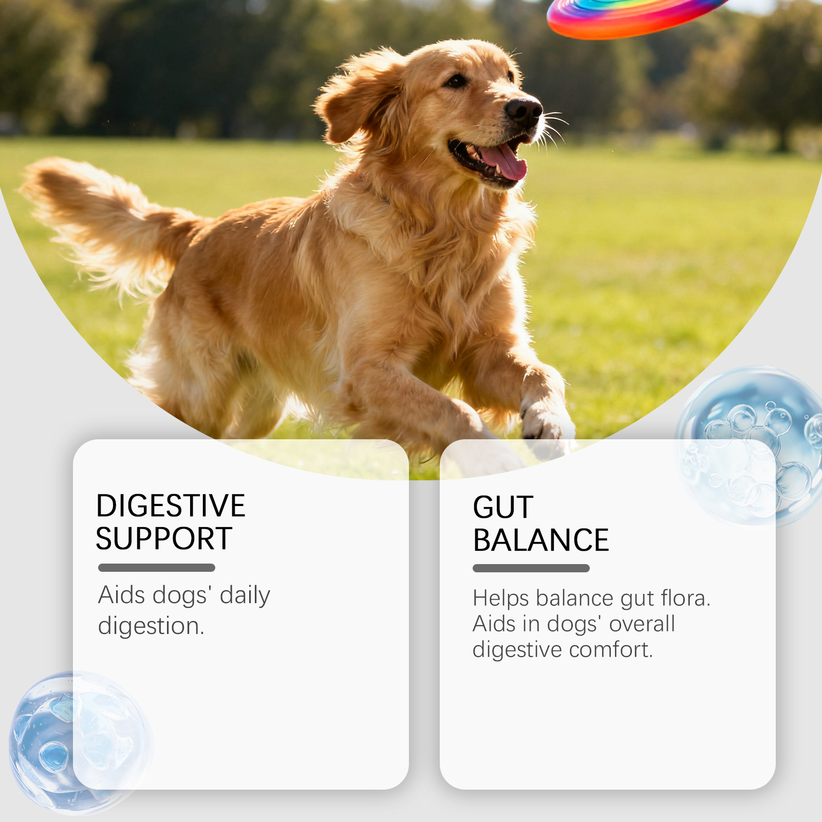 Daily Probiotic Soft Granules For Dogs Support Intestinal Balance Easy Feeding Mild Care Boost Vitality Regular Canine Gut Maintenance
