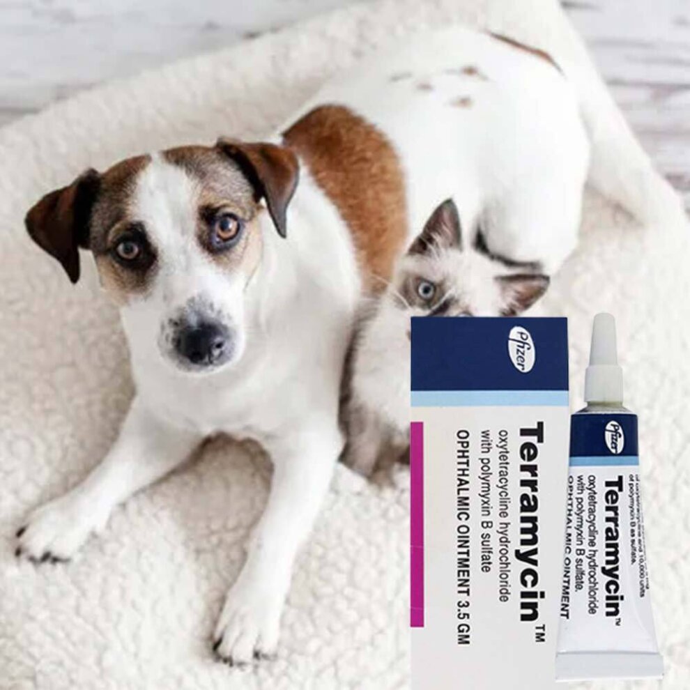 2PC Pet Eye Health Ointment for Dogs, Cats, Cattle, Sheep, Horses, Birds & Puppies