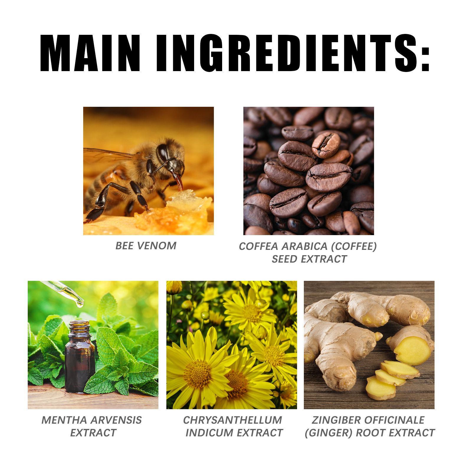 Bee Venom Body Firming Cream Moisturizing For Smooth Skin And Daily Body Care