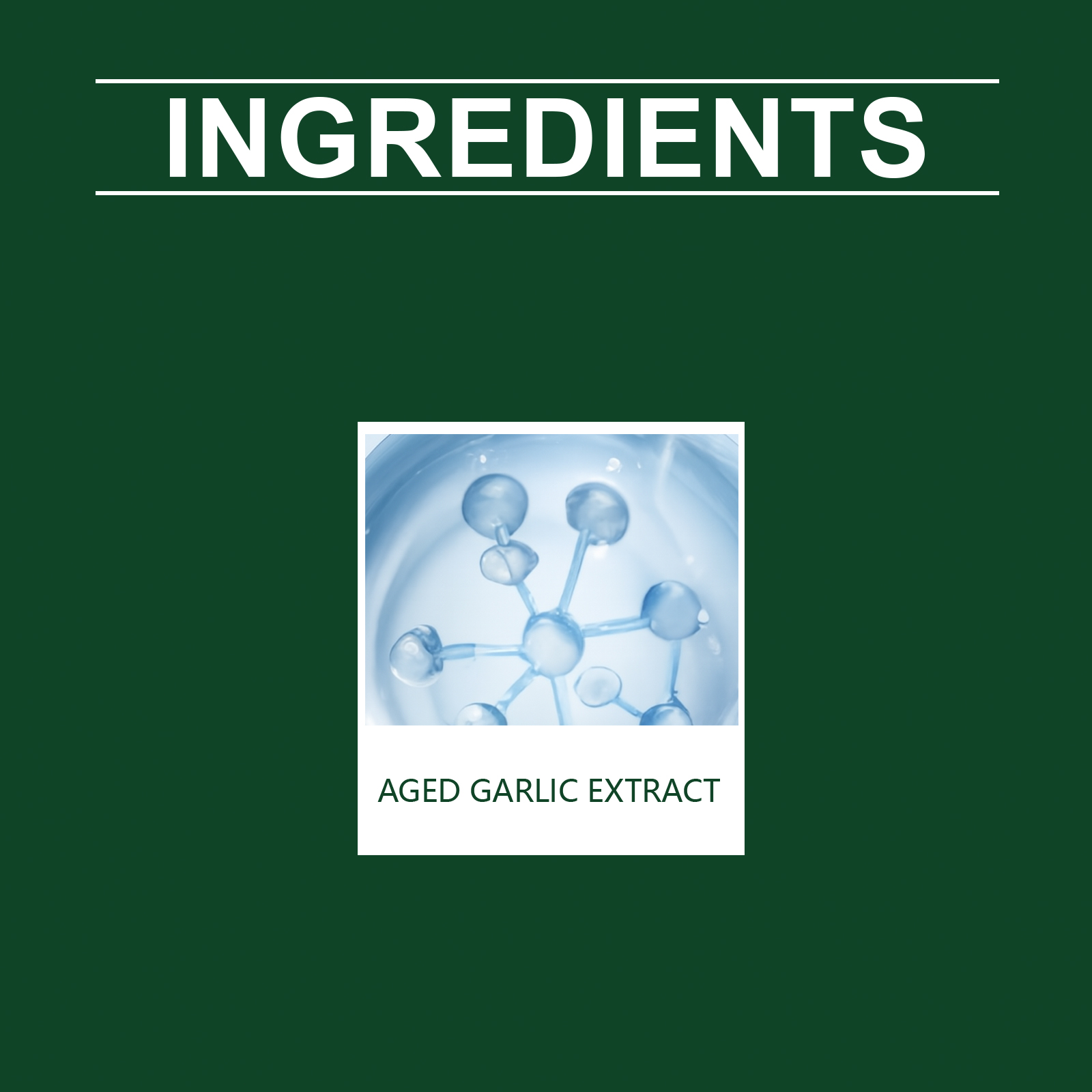 Garlic Vitality Support Capsules Daily Nutritional Dietary Supplement Mild Formula Body Convenient Care Capsule