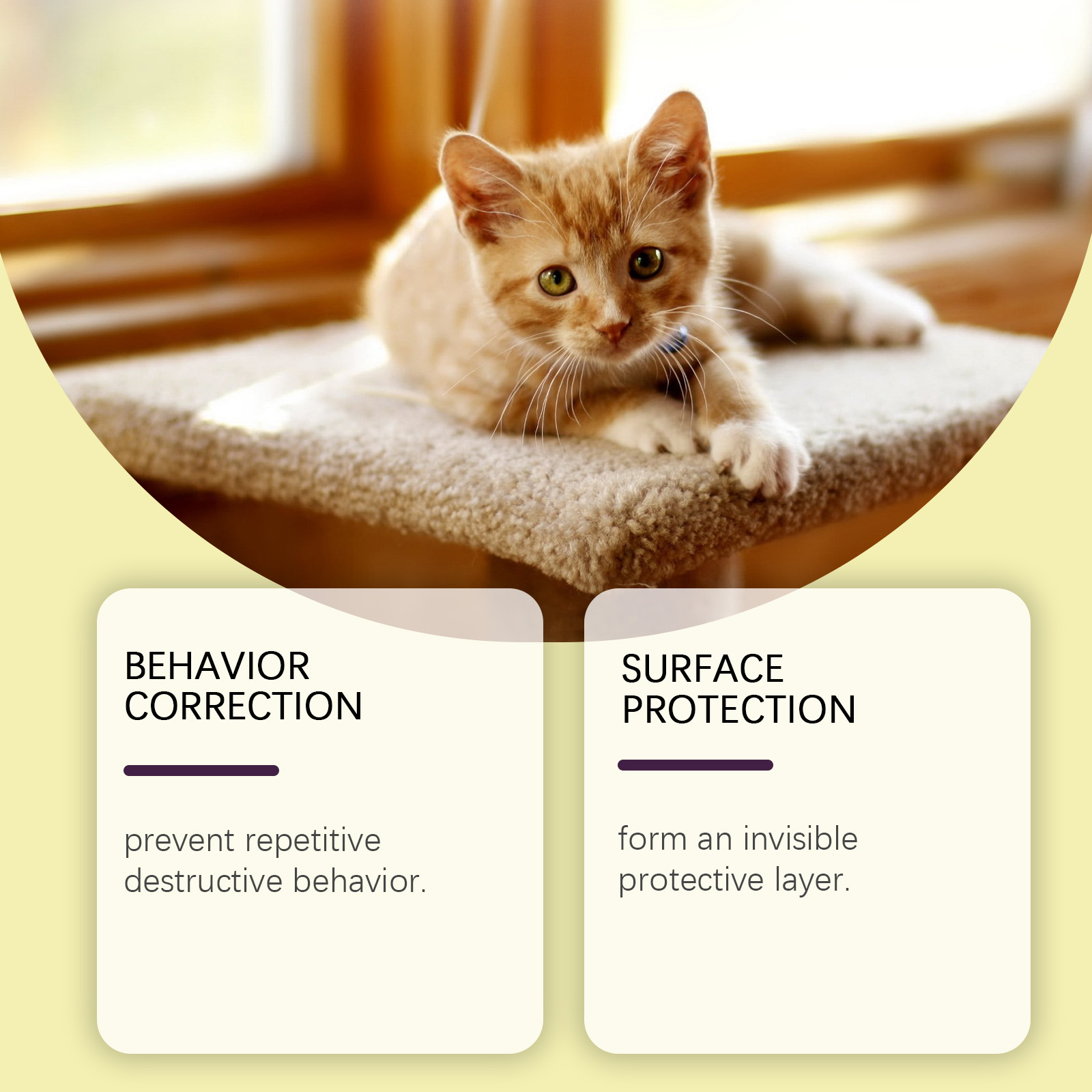 Indoor Cat Repellent Spray Indoor Outdoor Prevent Cat Scratching Furniture Pee Household Repellent