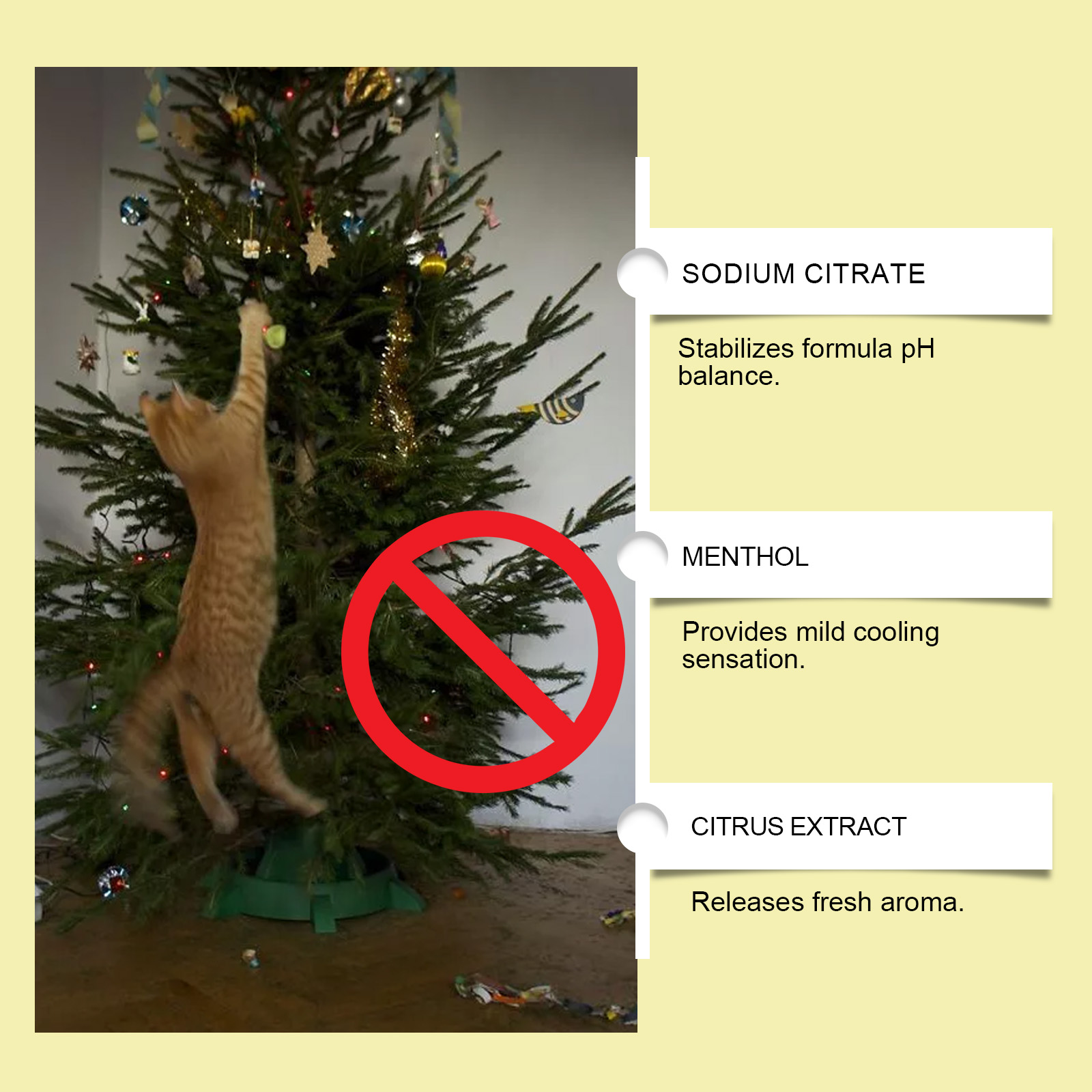 Indoor Cat Repellent Spray Indoor Outdoor Prevent Cat Scratching Furniture Pee Household Repellent
