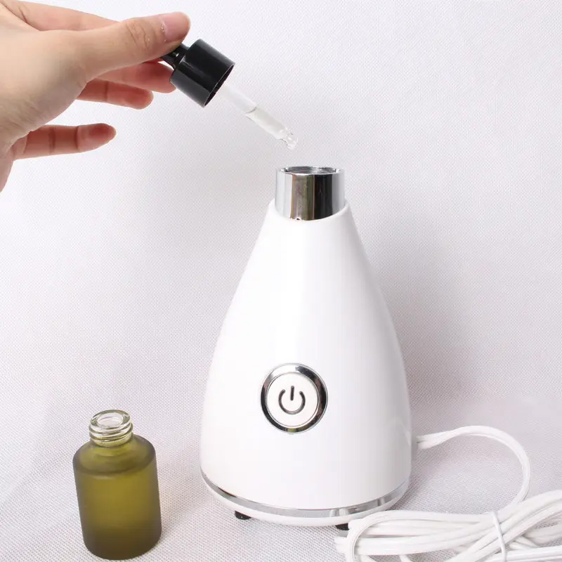 Mini Facial Steamer Portable Face Steam Spray Bottle Skin Remove Spa Beauty Instrument Plug Moisturizing Care Wrinkles