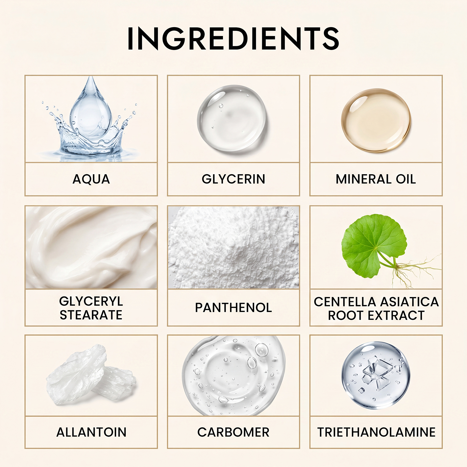 Moisturizing Cream Light Texture Mild Fast Absorb Soft Smooth Fine Plump Day Night