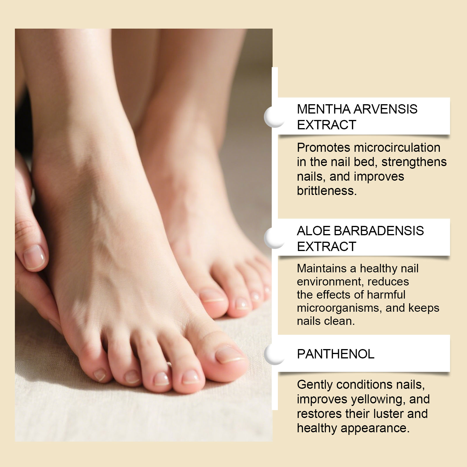 Nourishing Nail Care Oil Mild Ingredient Moisturizing Glossy Hand Foot Nail Smooth Nail Surface Care Essence Liquid