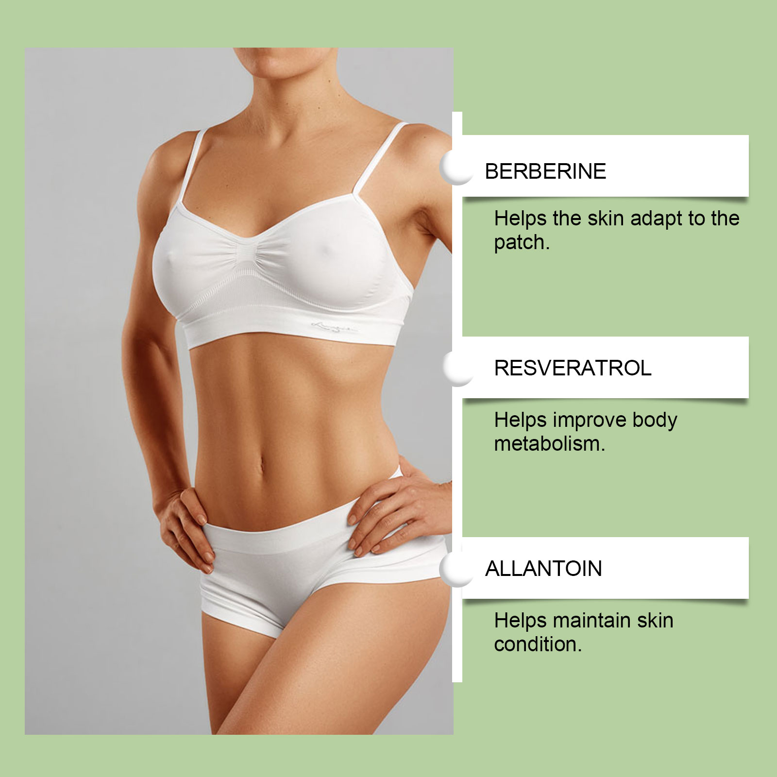 Moringa Care Patch Breathable Material Comfortable Daily Mild Care Body Skin Natural Fit Skin Friendly