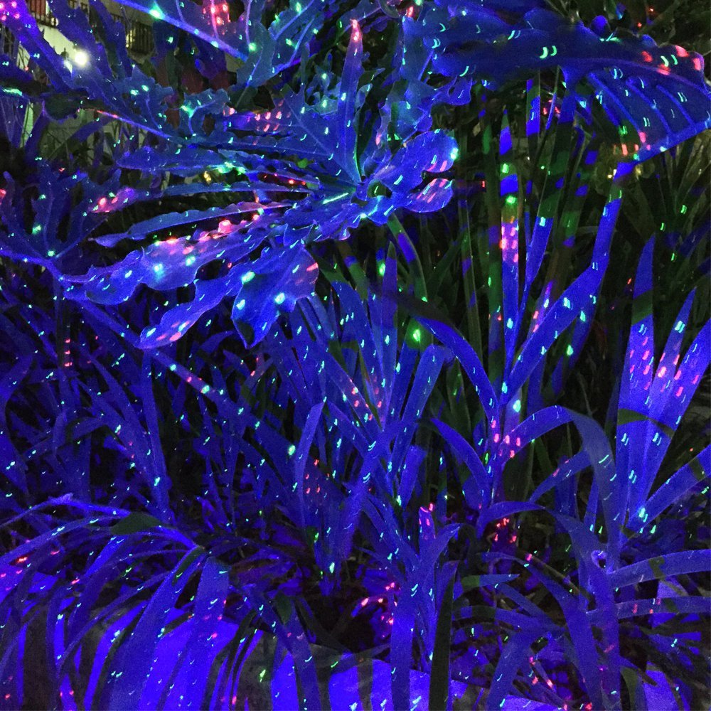 Laser Christmas Outdoor Lamps Garden Lights Outdoor Star Projector Static Firefly with Led