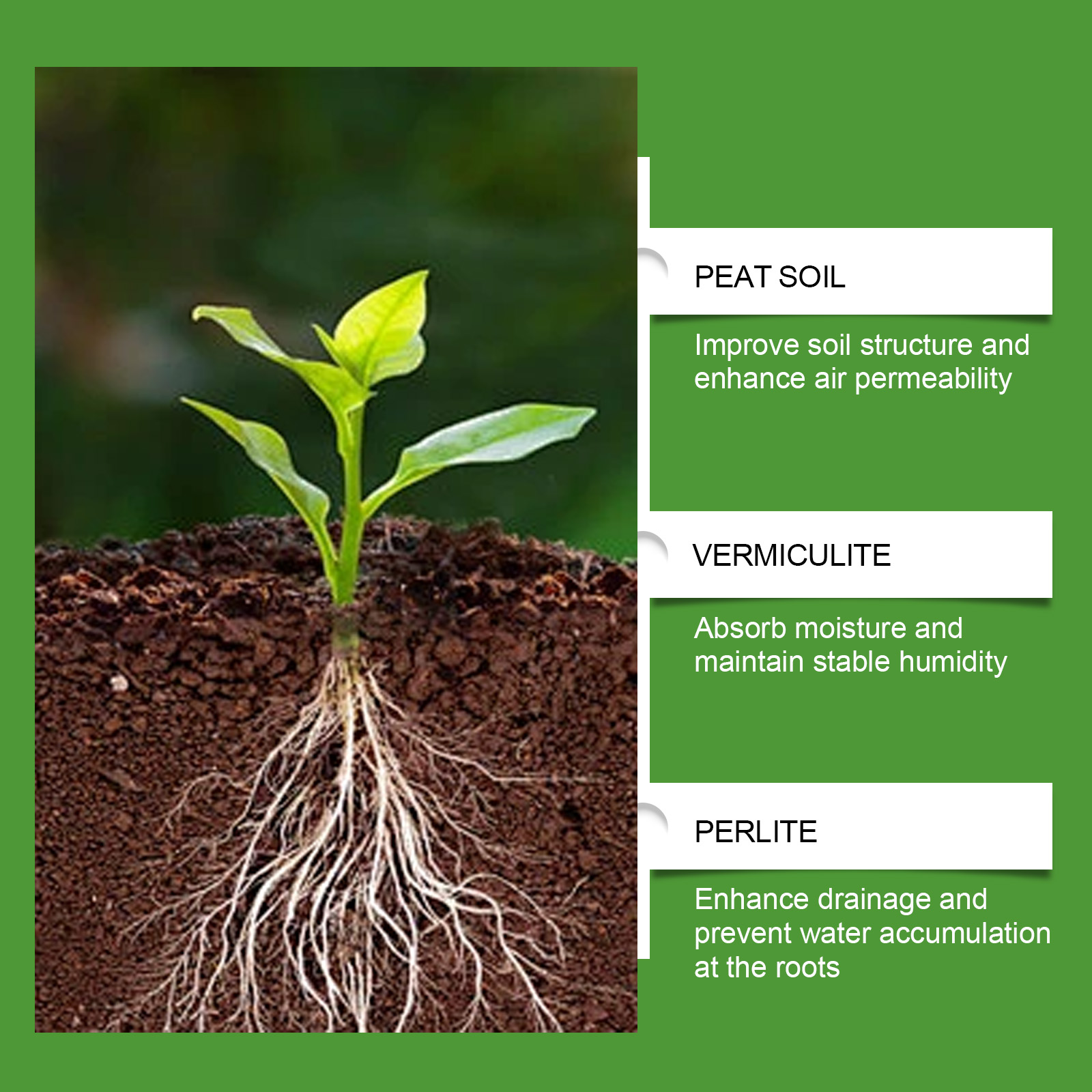 Succulent Cactus Potting Soil Mix All Purpose Garden Potting Mix For Indoor Outdoor Quick Drain Hair Spray Color Temporary ﻿