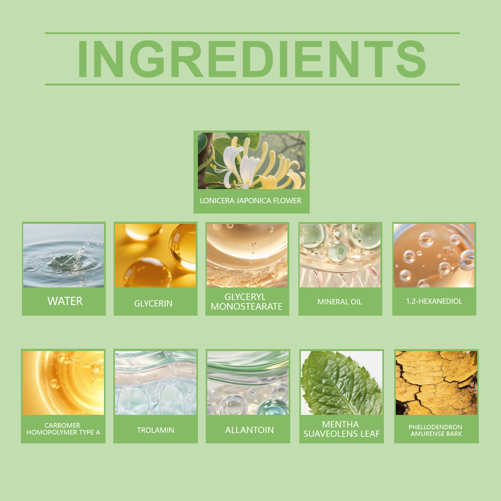 Herbal Skincare Moisturizing Cream Gentle Ingredients Plant Extract Moisturize Comfortable Application Body Skin Care