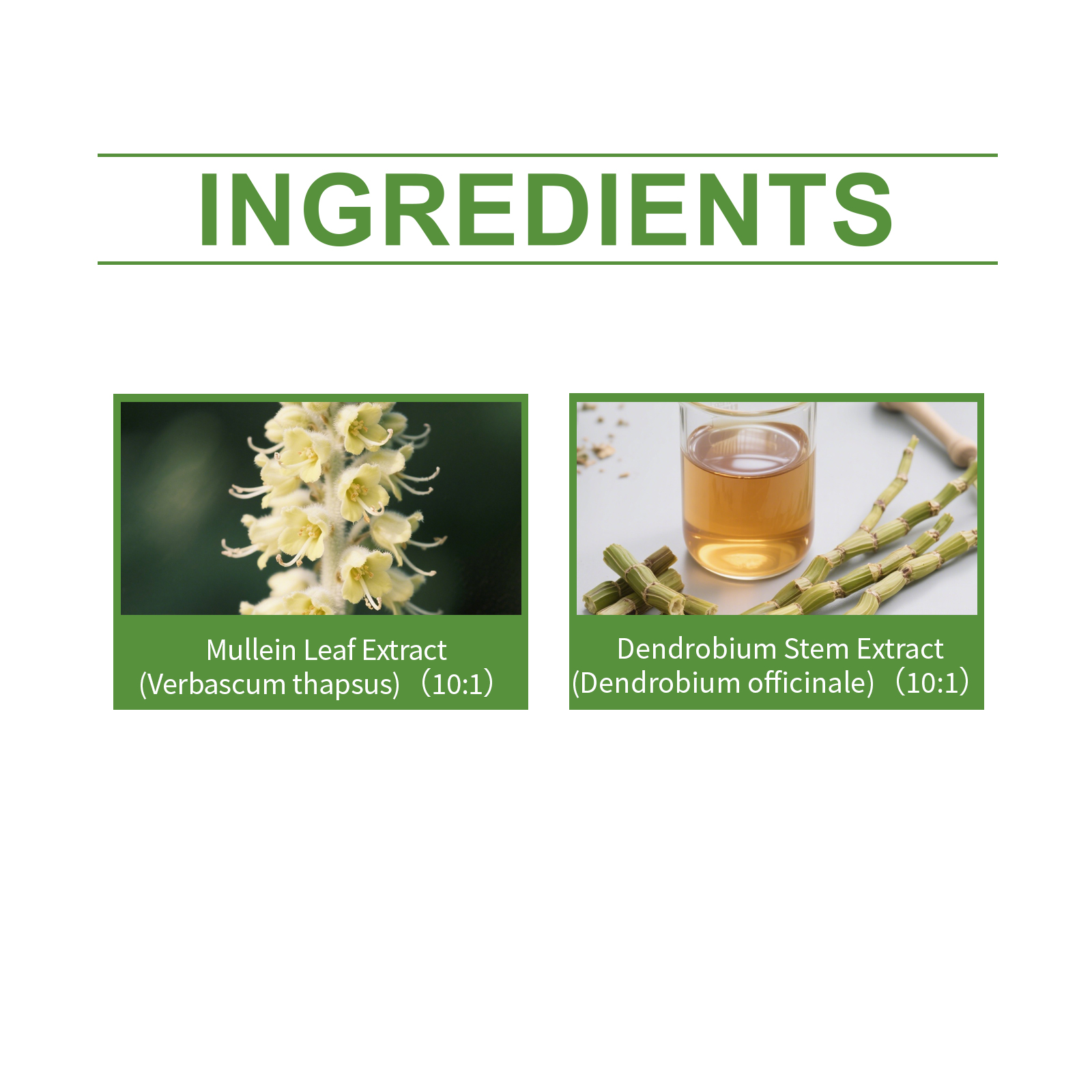 Herbal Body Care Drops Mullein Dendrobium Respiratory Comfort Daily Wellness 30ml