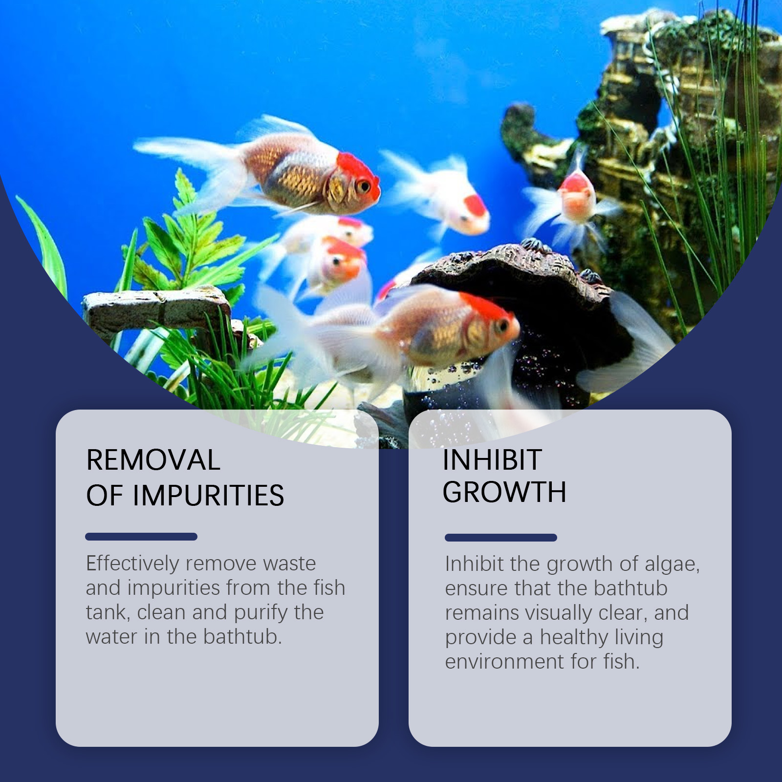 Aquarium Water Purifier Clean Stains Remove Algae Protect Fish Daily Maintain Fish Tank Moss Water Purification