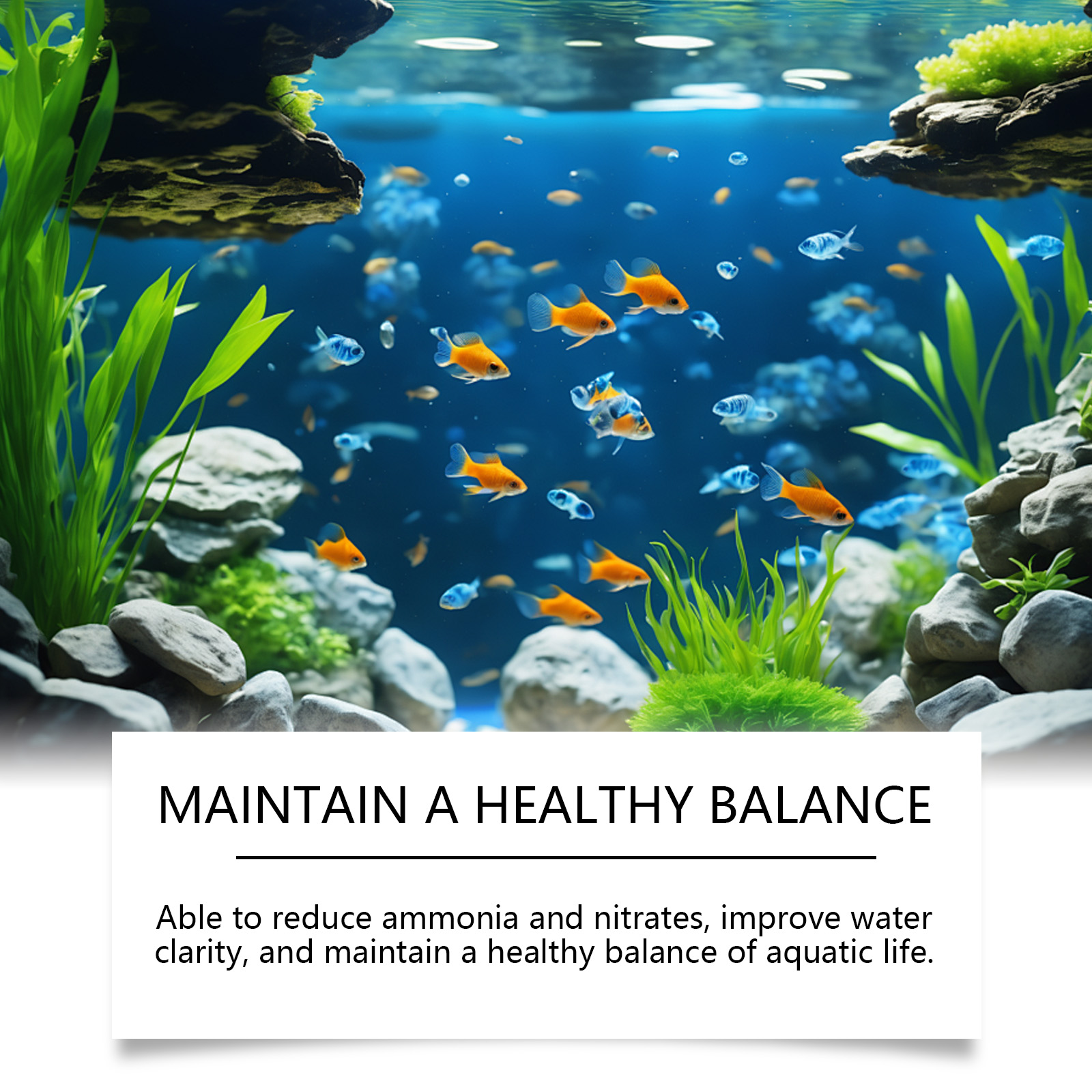 Aquarium Water Purifier Clean Stains Remove Algae Protect Fish Daily Maintain Fish Tank Moss Water Purification