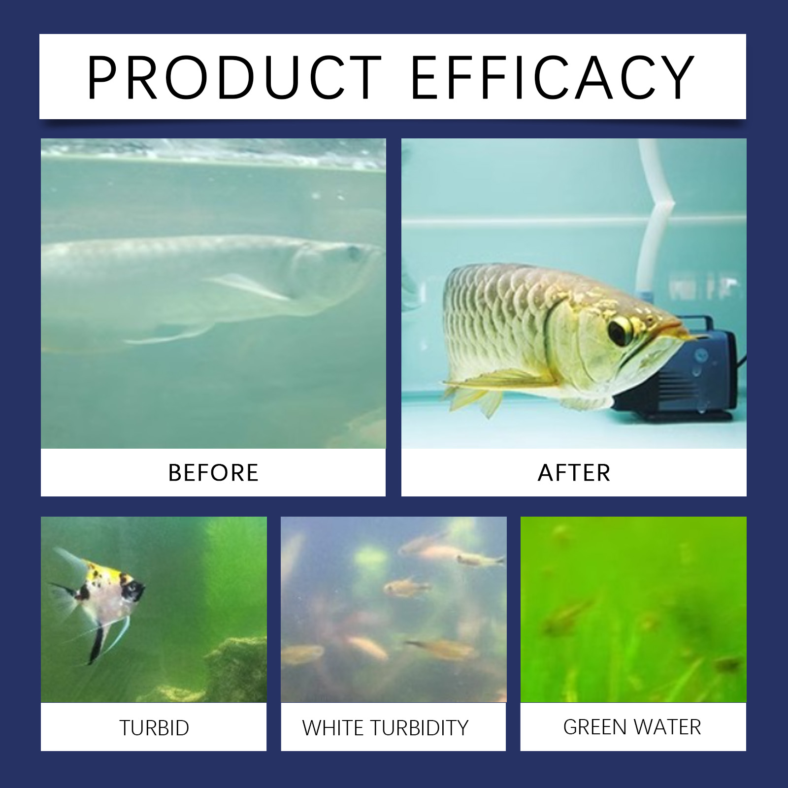 Aquarium Water Purifier Clean Stains Remove Algae Protect Fish Daily Maintain Fish Tank Moss Water Purification