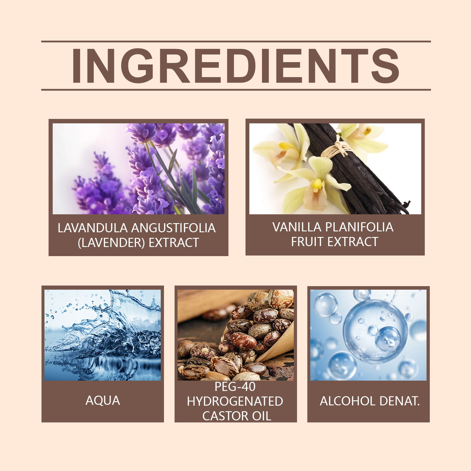Rich Perfume Spray Lavender Floral Charming Fragrant Herb Fresh Longlasting Dating Portable Perfume