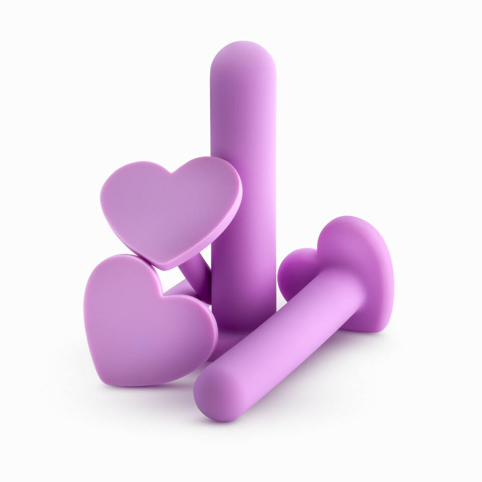 Wellness Dilator Kit Sex Toy Love Adult Products for Stretching the Vaginal Anal Opening and Depth Gift for Couples Pleasure
