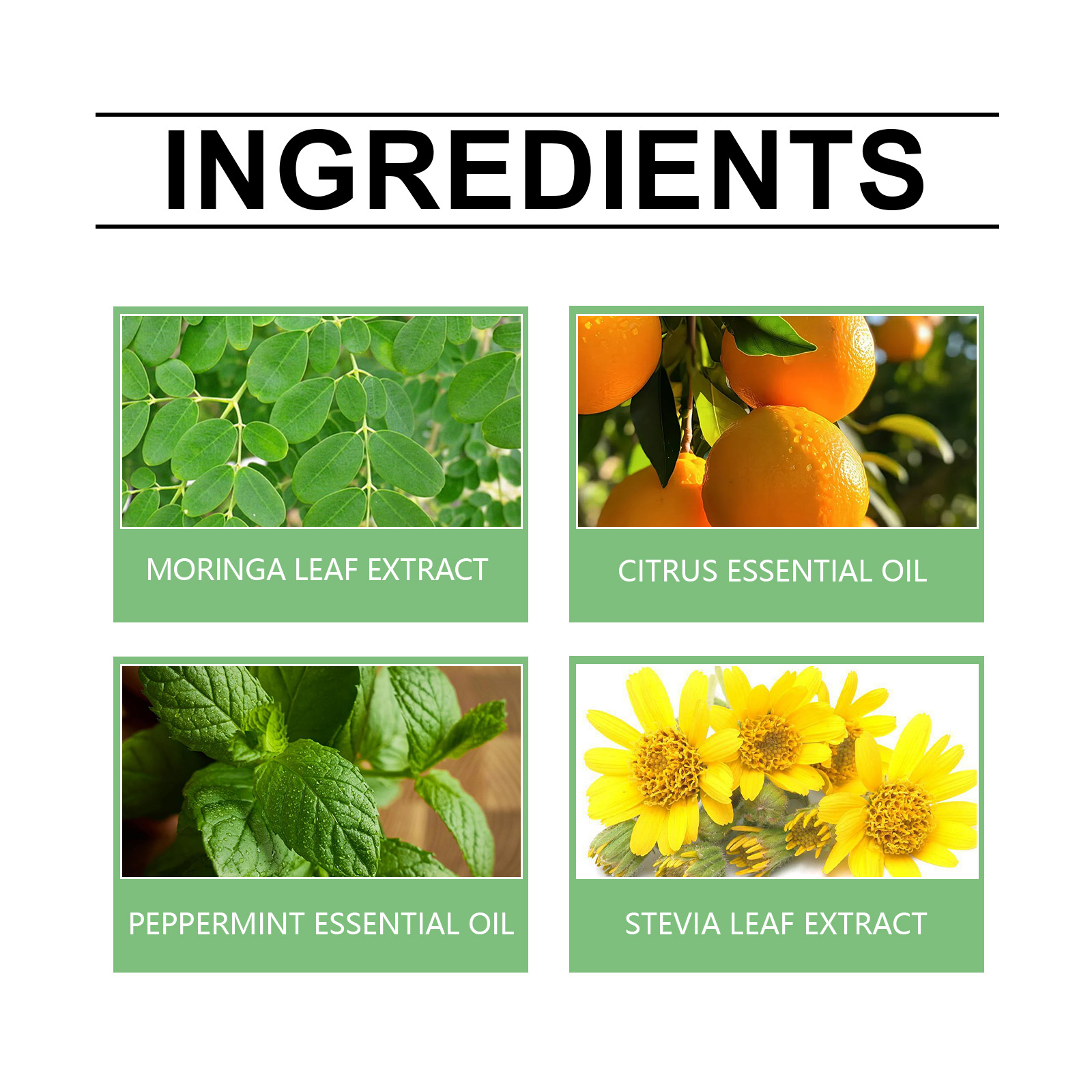 Slimming & Health Boost Drops Support Your Daily Wellness Routine Natural Plant-Based  Health Solution Ultra Concentrated Moringa