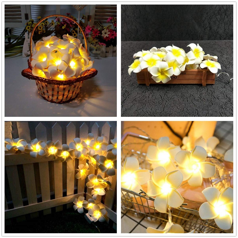 Artificial Plumeria Flower Led String Lights Battery Fairy Lights for Bedroom Home Wedding Hawaiian Luau Party Decor
