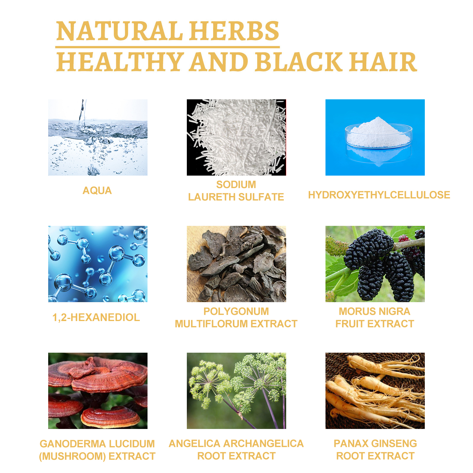 Black Ganoderma Lucidum Hair Liquid Clean Scalp Dirt Prevent Hair Loss Strengthen Hair Roots Nourish Hair Follicles Care Essence ﻿