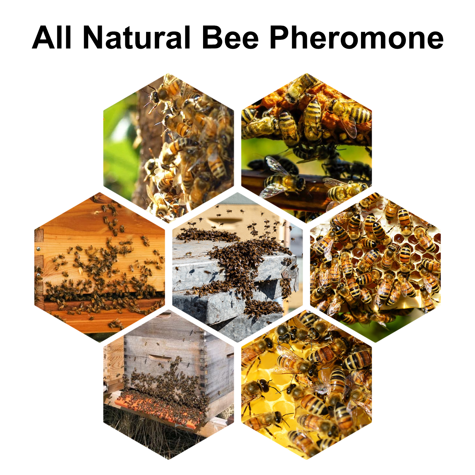60ML Bee Bait Bee Swarm Commander Lure Bait Bee Cage Trap Kit Beekeeper Tools Beekeeping Wild Bee Hive Swarm Liquid ﻿