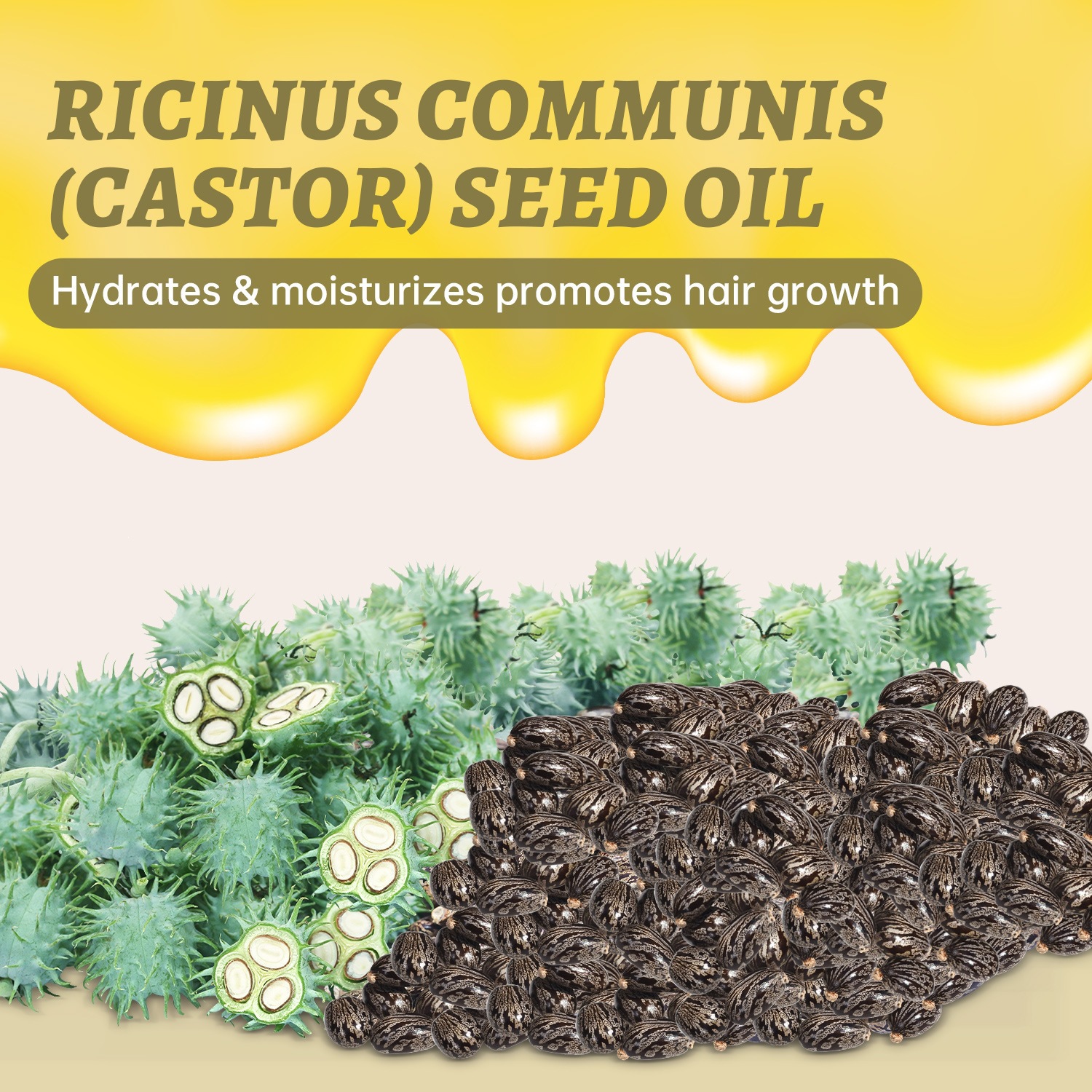 Pure Castor Oil For Hair Growth Nourishing And Body Massage Daily Scalp And Skin Conditioning Treatment 200ml
