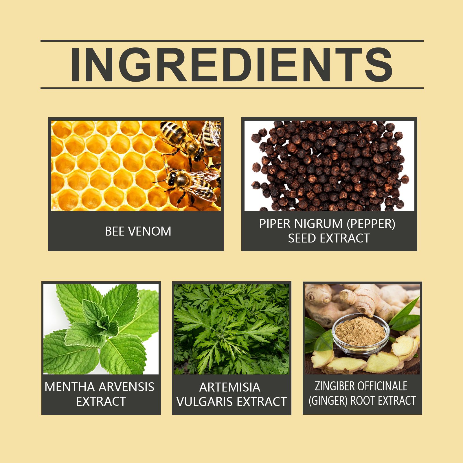 Bee Venom Lymphatic Body Shaping Patch For Firming And Daily Body Care