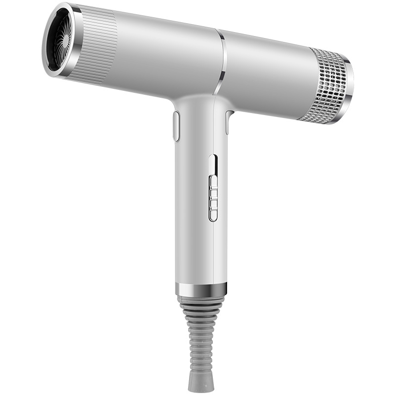 (Silver) Hair Dryer Professional Fast Drying Negative Ionic Blow Dryer Lightweight Powerful High-Speed No Heat Damage Intelligent Thermo-Control Low Noise