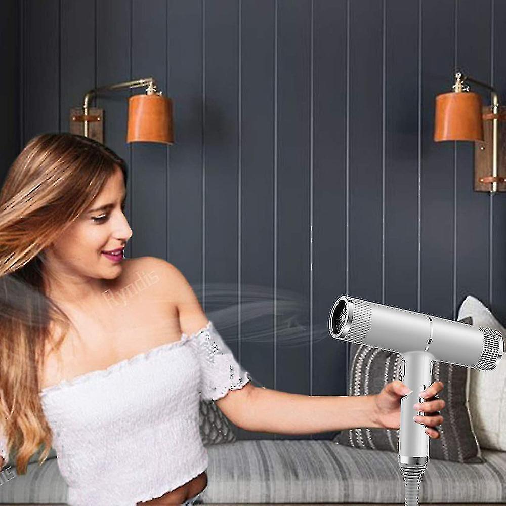 (Silver) Hair Dryer Professional Fast Drying Negative Ionic Blow Dryer Lightweight Powerful High-Speed No Heat Damage Intelligent Thermo-Control Low Noise