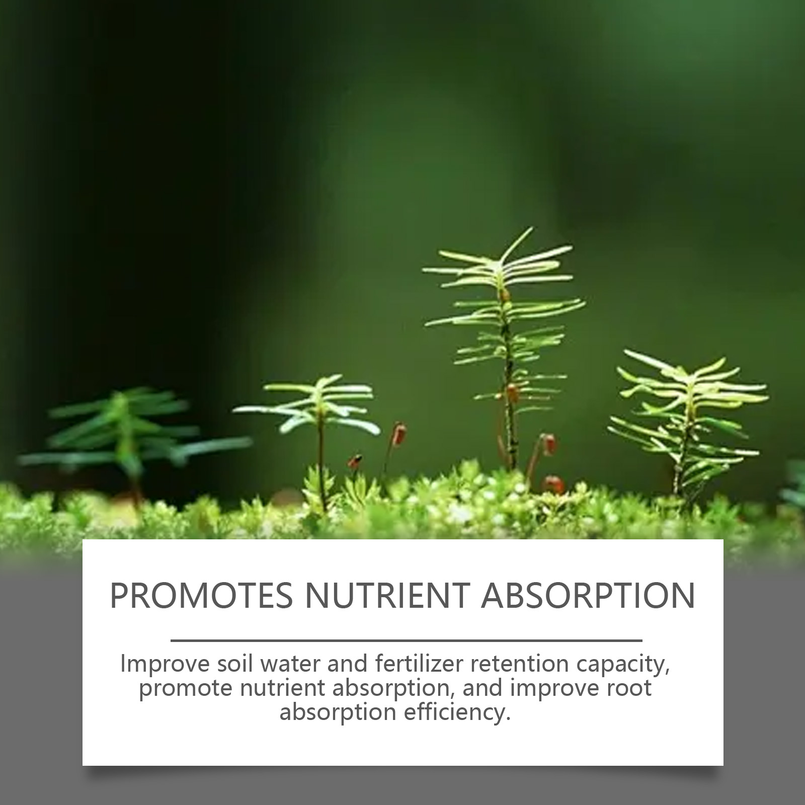 MoonSpry Powerful Soil Activator Loosen Soil Supplement Flower Fertilizer Nutrient Plant Strengthen Garden Boost Healthy Ro R3Q1 ﻿