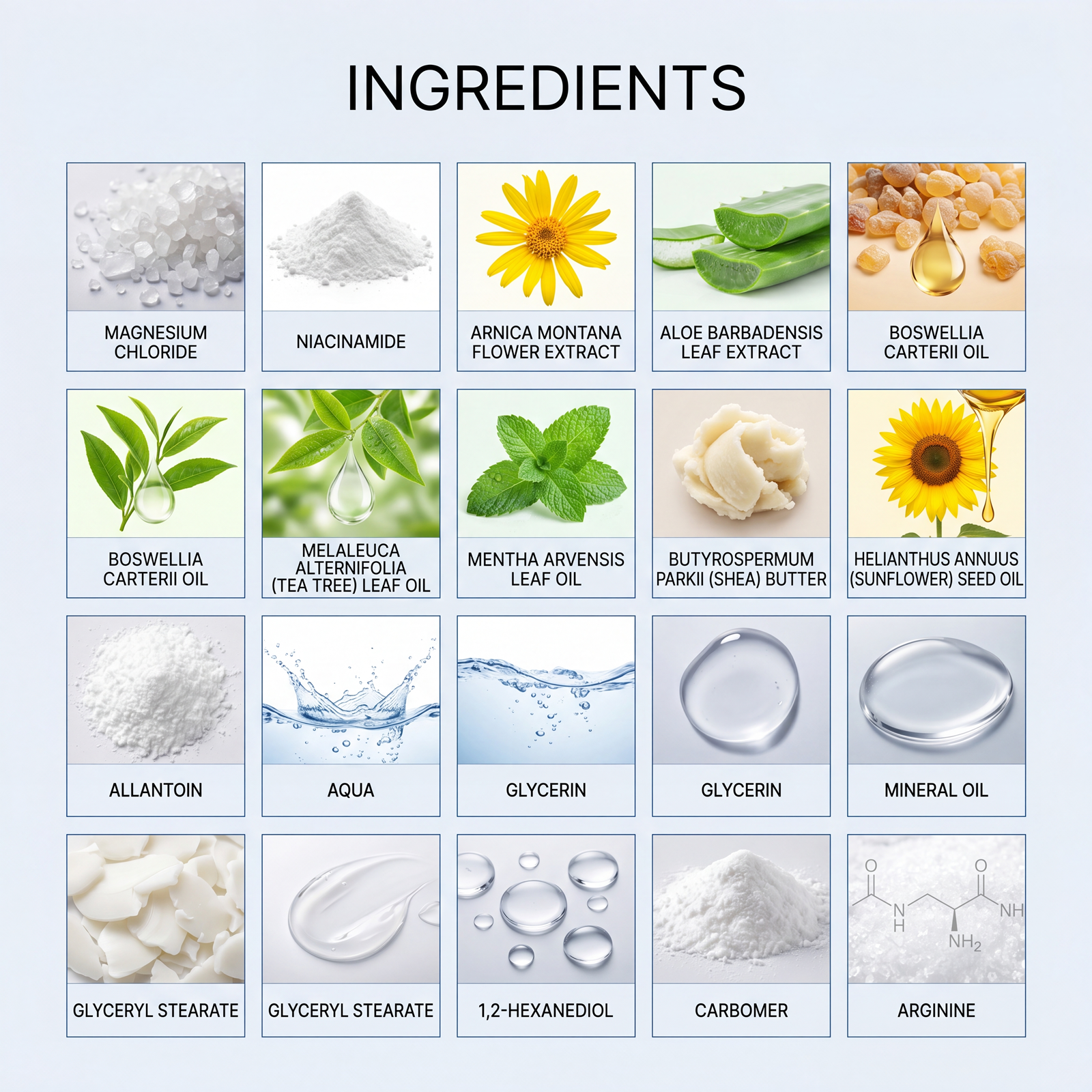 Skin Care Cream Mild Protection Soft Refreshing Hydrate Body Skin Daily Smear Massage Treatment Lotion