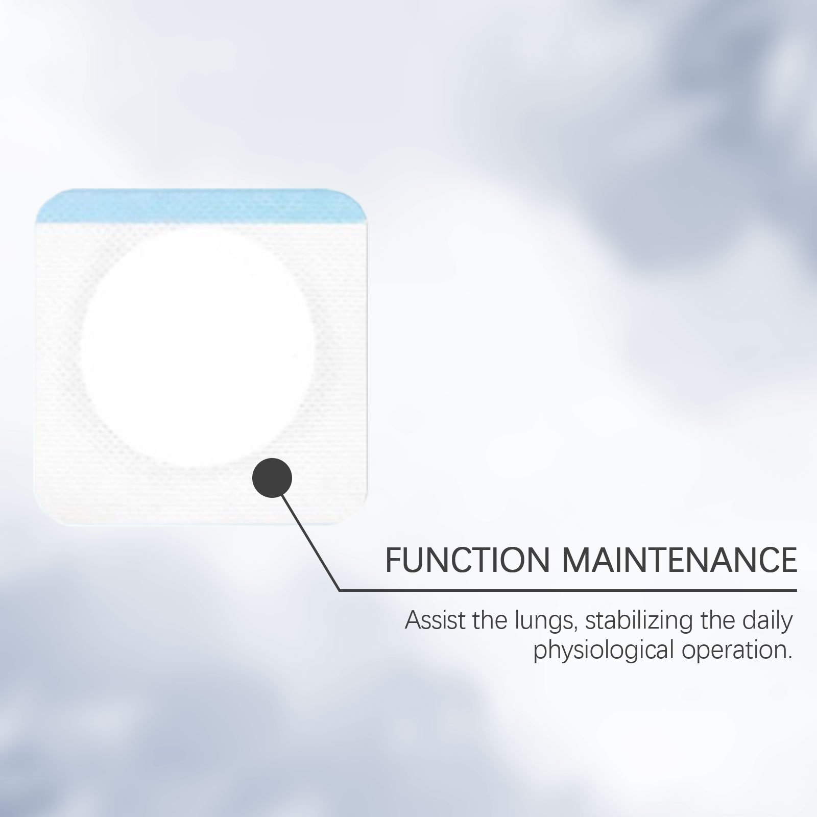 Body Care Patch Mild Plant Formula Gentle Healthy Fresh Comfort Portable Daily Maintenance Protection