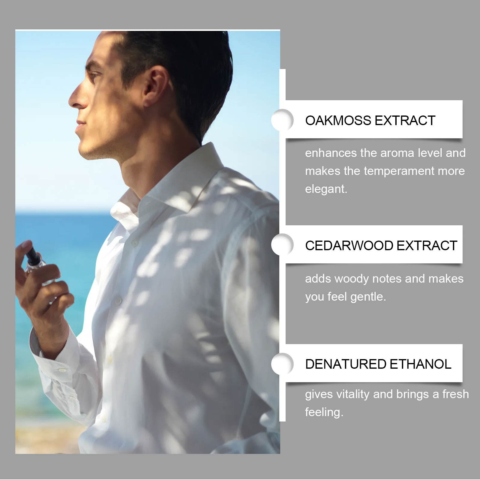 Men Perfume Fresh Forest Cologne Woody Fragrance Mild Gentle Long Lasting Charming Male Daily Scent