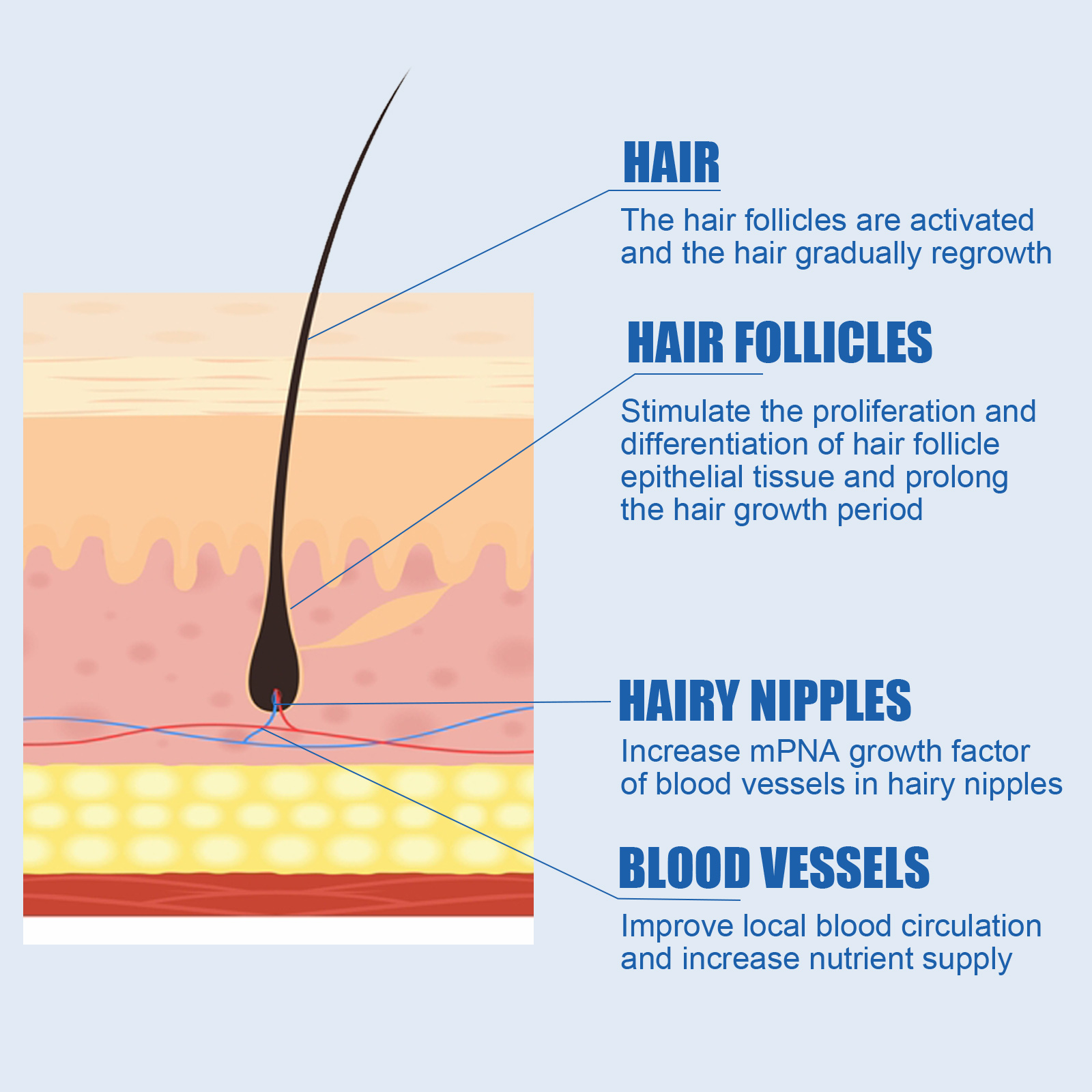 Men Hair Care Liquid Scalp Nourishing For Hair Beard Shine And Follicle Care Daily Treatment