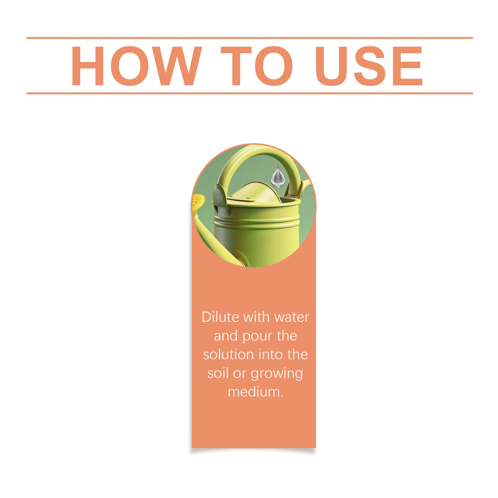 Root Drops Promote the Rapid Development of the Root System of New Plants and Enhance Growth Vitality