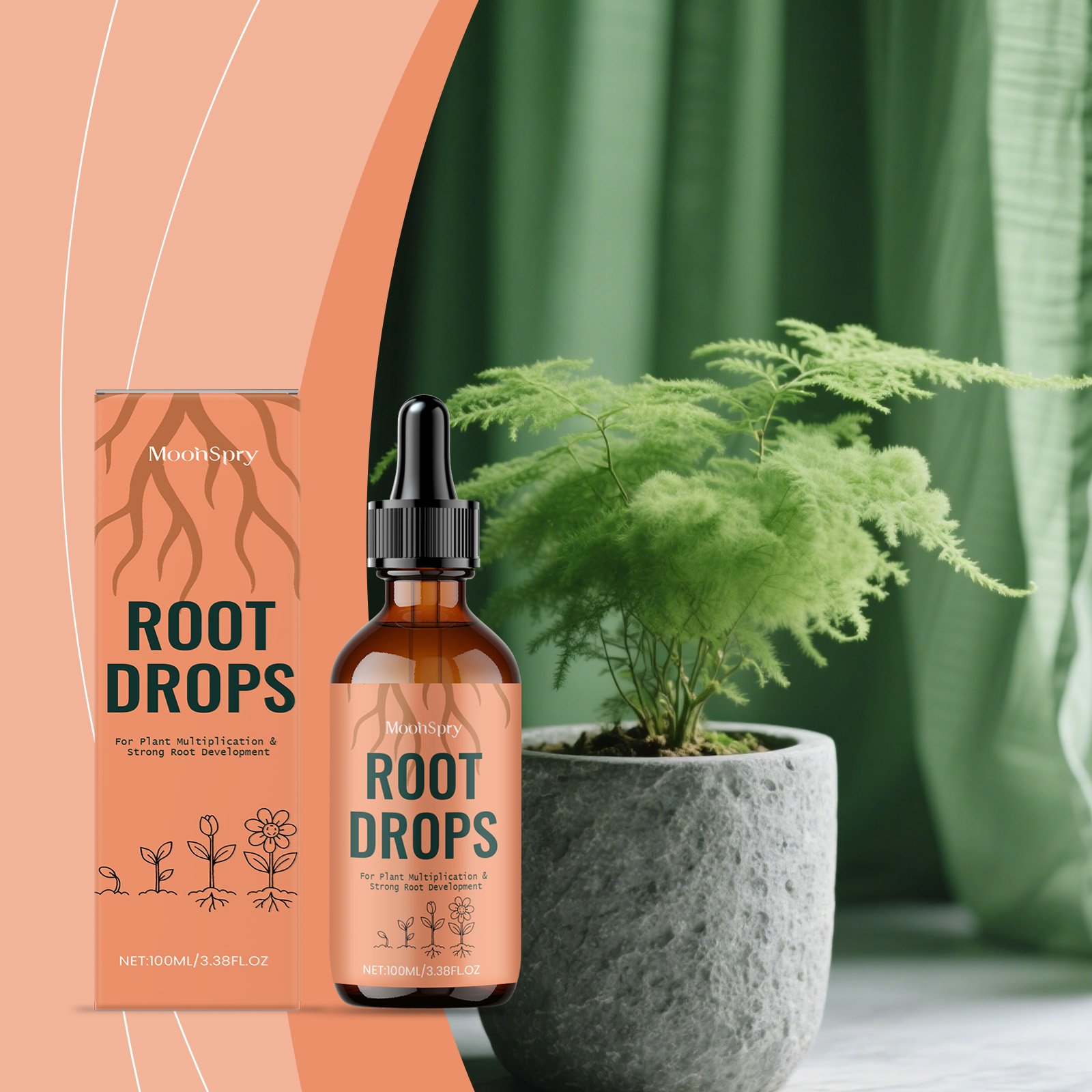 Root Drops Promote the Rapid Development of the Root System of New Plants and Enhance Growth Vitality